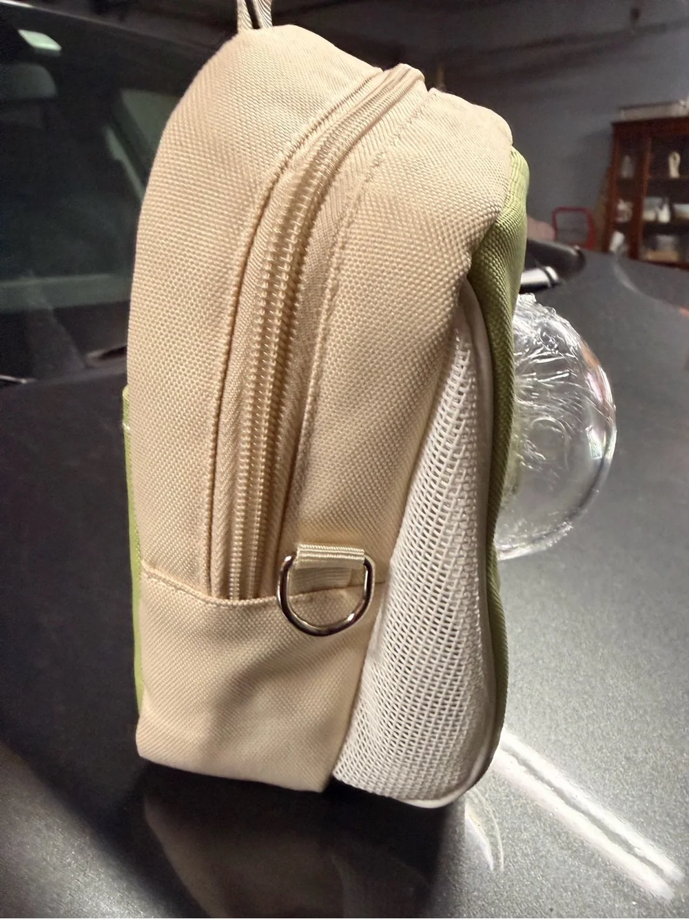 Cream and Light Green Pet Carrier Tote with Bubble Window